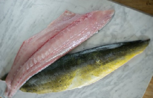MAHI
