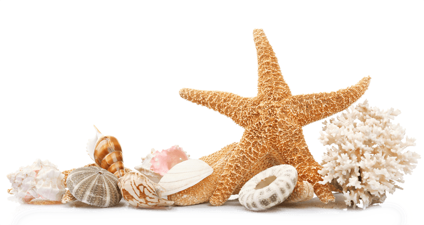 Patrick Star
